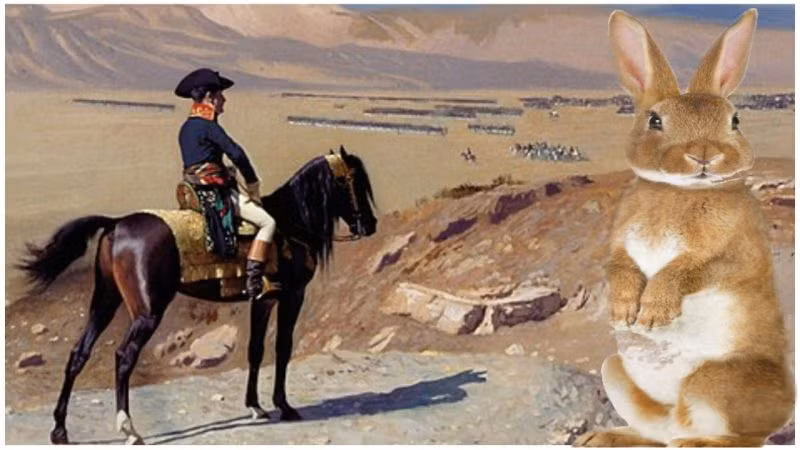 Tướng Alexandre cùng cấp dưới chuẩn bị khoảng 3.000 con thỏ. Vào ngày đi săn, chúng được thả khỏi lồng để Napoleon và mọi người bắn hạ chúng.