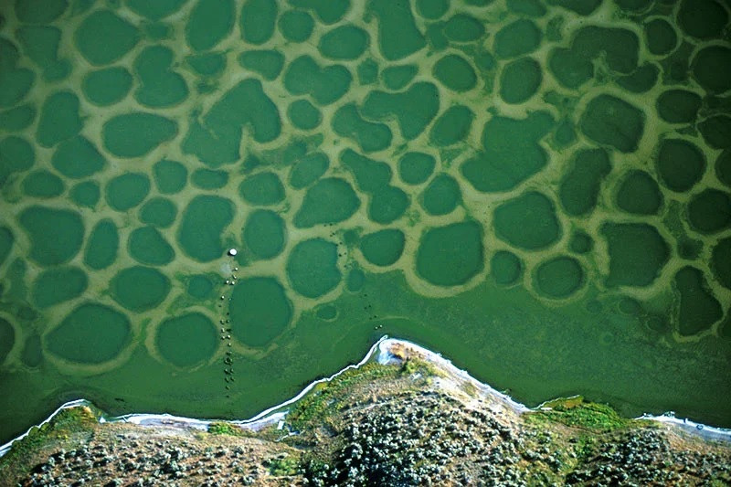 Để kiểm chứng thông tin này, các chuyên gia đã lấy các mẫu nước tại hồ và thực hiện các nghiên cứu. Qua đó, họ phát hiện độ mặn của hồ kết hợp với thành phần khoáng chất trong nước có thể giúp chữa lành một số loại bệnh.