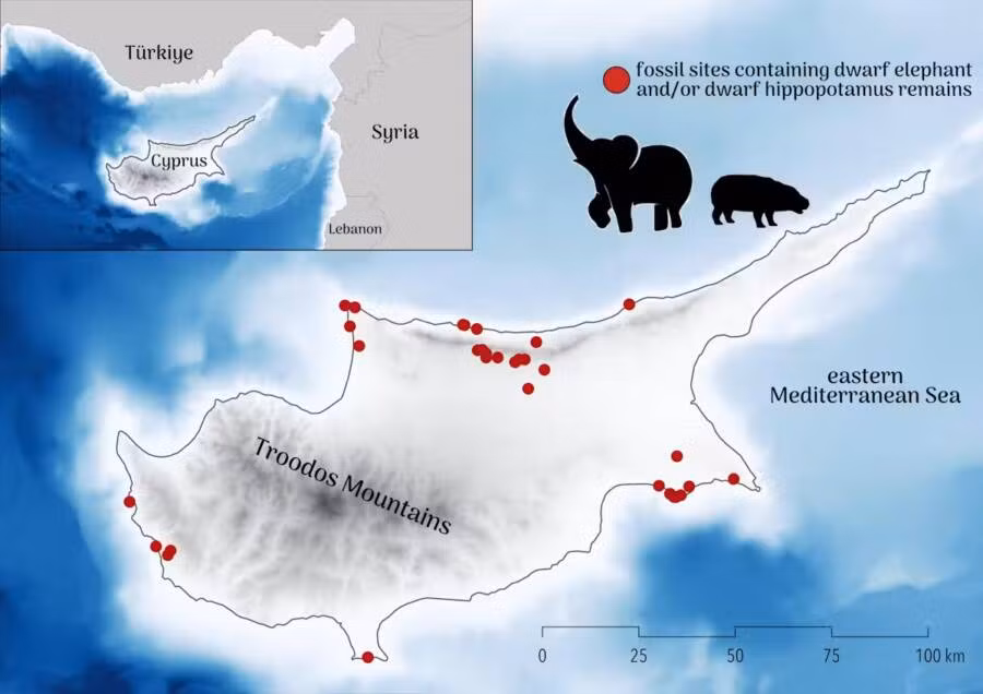 Thế nhưng, trong nghiên cứu mới công bố, các nhà khoa học cho hay những thợ săn thời Đồ đá đóng vai trò quan trọng trong việc khiến hà mã lùn và voi lùn trên đảo Síp tuyệt chủng. Ảnh: CJA Bradshaw/Flinders University.