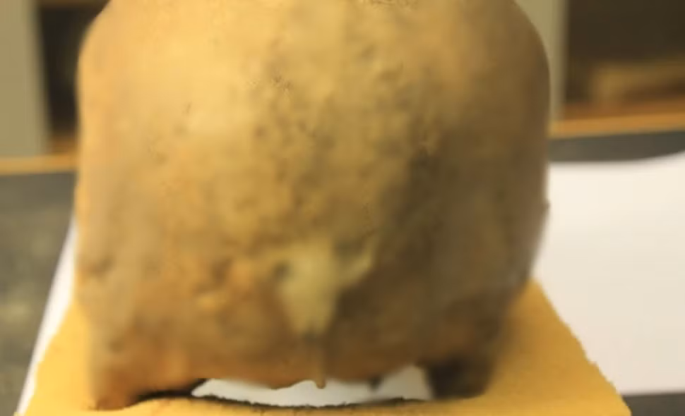 Phát hiện này khiến giới chuyên gia kinh ngạc bởi vì tỷ lệ bạo lực của người Viking tại Na Uy và Đan Mạch từ lâu được cho là tương đương nhau. Trong nghiên cứu mới công bố, nhóm chuyên gia đã so sánh hai nhóm bộ xương có từ thời Viking gồm: 30 bộ hài cốt được tìm thấy ở Na Uy và 82 bộ xương được tìm thấy ở Đan Mạch. Ảnh: Lisa Mariann Strand.