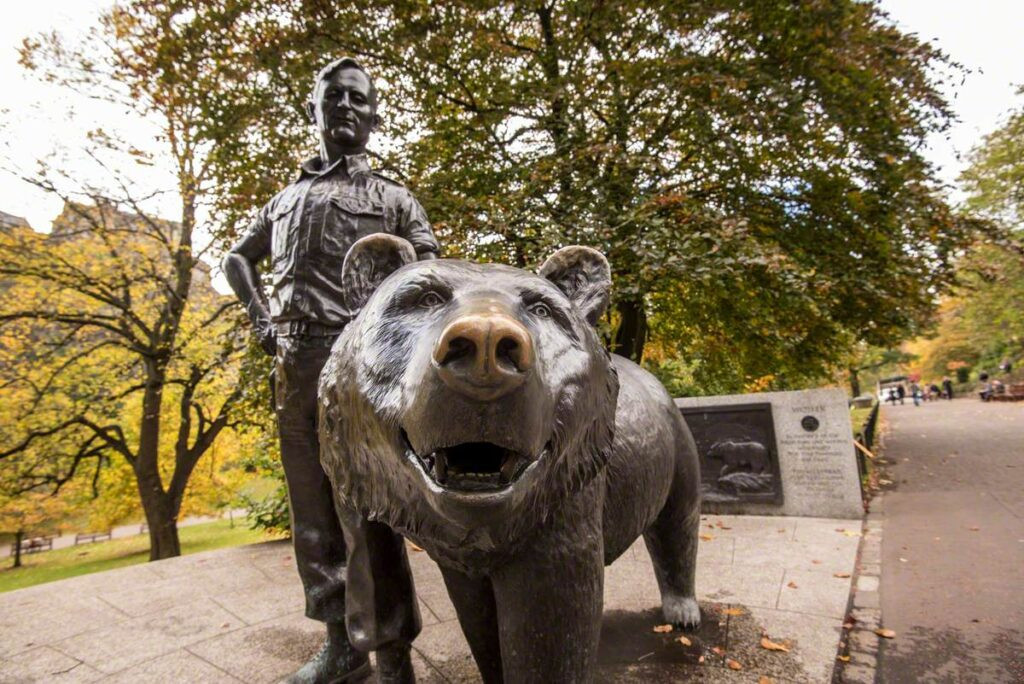 Sau khi giải ngũ vào ngày 15/11/1947, gấu Wojtek được đưa đến vườn thú Edinburgh ở Anh. Nhiều đồng đội cũ đã đến thăm nó. Vào tháng 12/1963, Wojtek chết. Vào thời điểm đó, nó nặng gần 230 kg và cao hơn 1,8m.