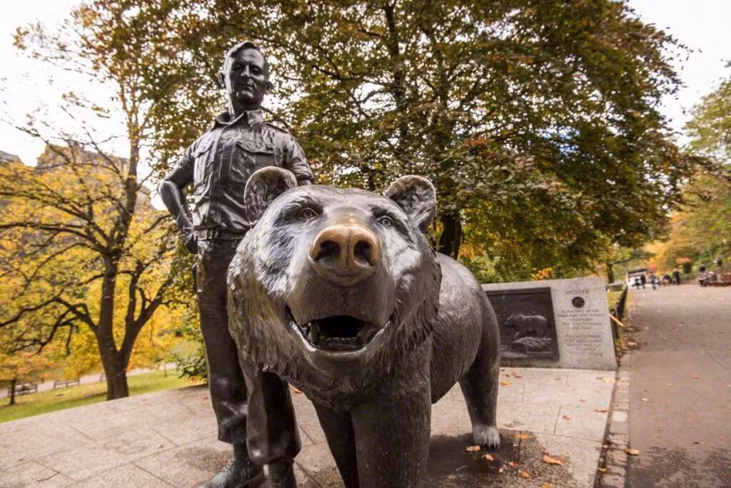 Sau khi giải ngũ vào ngày 15/11/1947, gấu Wojtek được đưa đến vườn thú Edinburgh ở Anh. Nhiều đồng đội cũ đã đến thăm nó. Vào tháng 12/1963, Wojtek chết. Vào thời điểm đó, nó nặng gần 230 kg và cao hơn 1,8m.