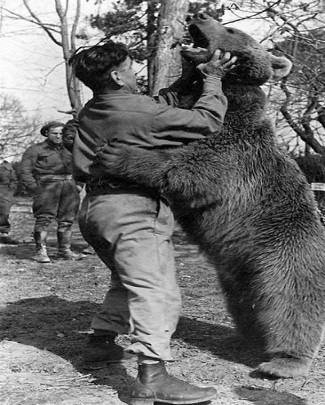 Theo các ghi chép, gấu Wojtek được đại đội pháo binh 22 đưa đi theo đến các mặt trận như Iraq, Syria, Palestine và Ai Cập.