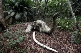 Sau khi xảy ra một vụ lở bùn và các vấn đề an toàn khác, Malaysia In Miniature Land ngừng hoạt động. Sau nhiều năm bỏ hoang, công trình trở nên u ám, tĩnh mịch đến rùng rợn.