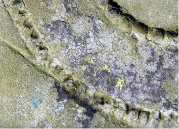 Bên trong đền Edfu - nơi thờ phụng thần chim ưng Horus, các nhà nghiên cứu đã kiểm tra, phân tích các bức phù điêu đầy màu sắc. Họ nhận thấy người Ai Cập thời cổ đại đã dùng đôi bàn tay tài hoa để tạo nên những bức tranh tường tuyệt đẹp.