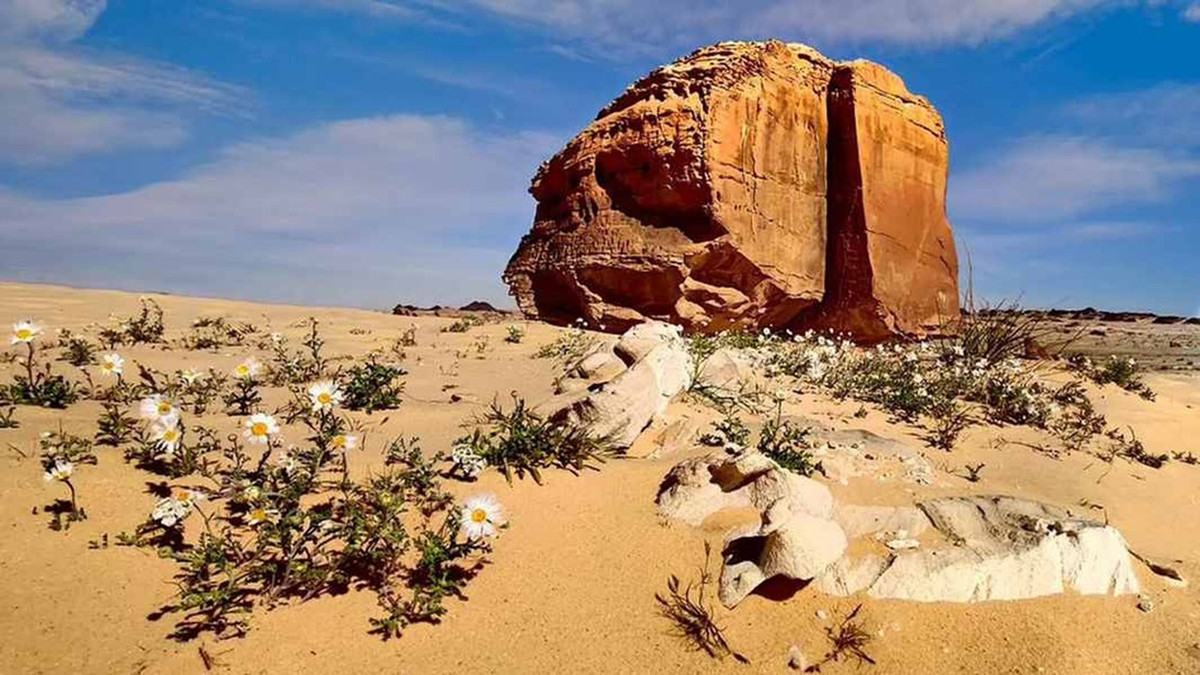 Vết nứt sinh ra từ hoạt động này sau đó trở thành một dạng "đường hầm" cho gió cát sa mạc quét qua bề mặt của Al Naslaa. Quá trình này diễn ra liên tục trong hàng nghìn năm giúp mài mòn bề mặt của 2 nửa tảng đá trở nên trơn nhẵn.