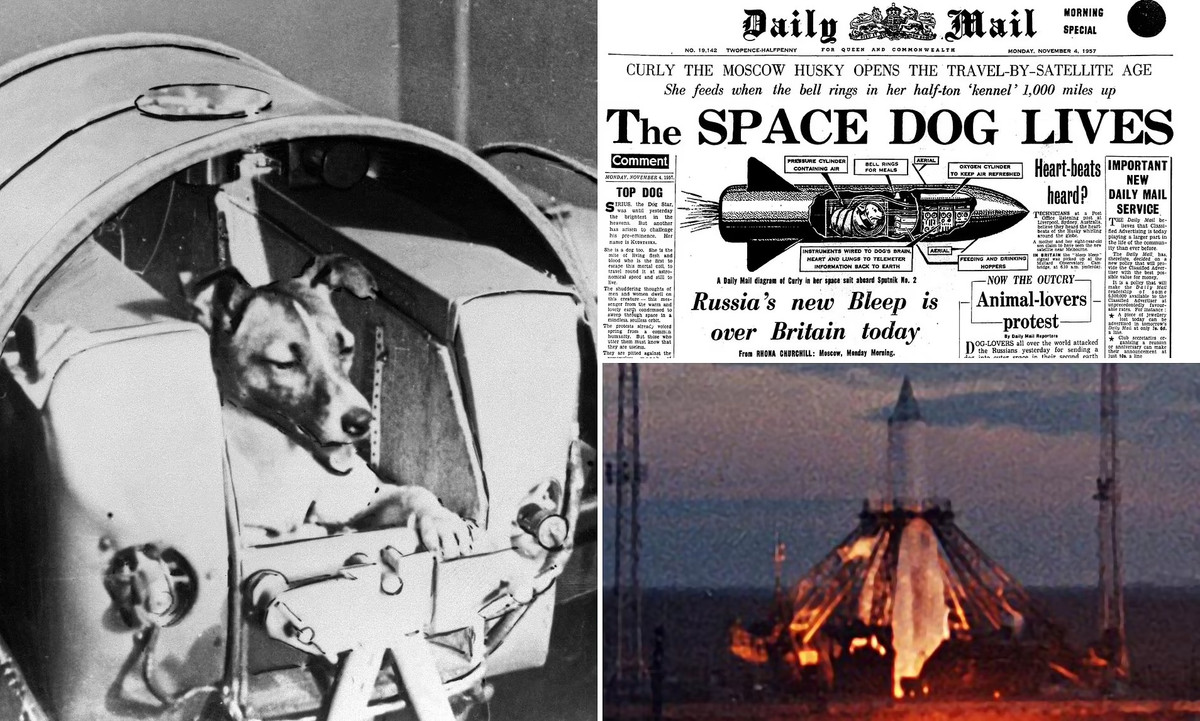 Theo các ghi chép, "phi hành gia 4 chân" Laika vẫn sống khi lên tới quỹ đạo và bay vòng quanh Trái đất trong khoảng 103 phút. Ảnh: Dailymail.