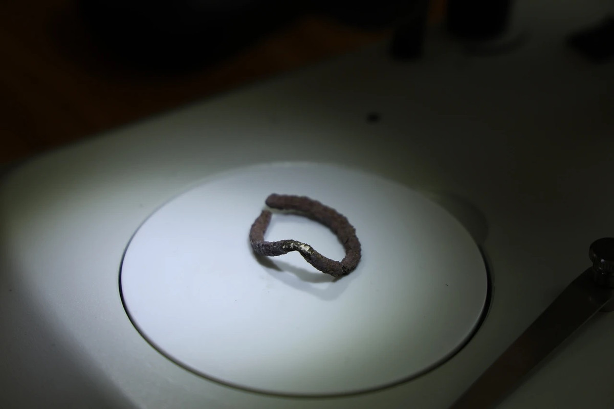 Kết quả kiểm tra 3 bộ hài cốt cho thấy một thi hài thuộc về đứa trẻ qua đời khi khoảng 6 - 7 tuổi và một trẻ sơ sinh. Bộ hài cốt thứ ba chưa xác định được độ tuổi chính xác.