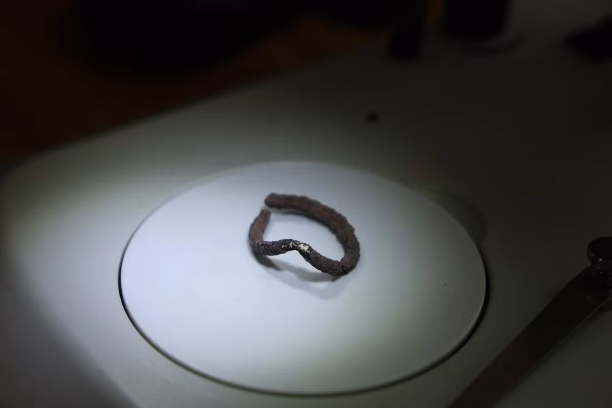 Kết quả kiểm tra 3 bộ hài cốt cho thấy một thi hài thuộc về đứa trẻ qua đời khi khoảng 6 - 7 tuổi và một trẻ sơ sinh. Bộ hài cốt thứ ba chưa xác định được độ tuổi chính xác.