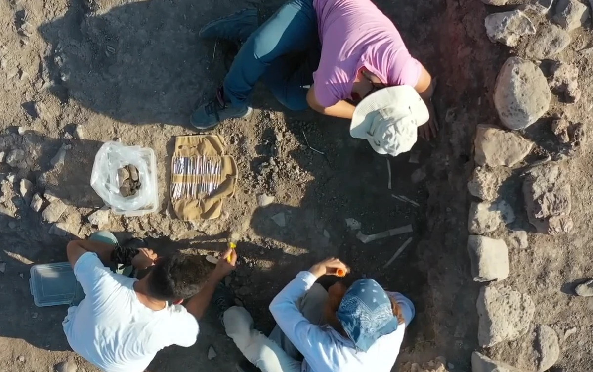 Trong cuộc khai quật này, nhóm của Tiến sĩ Halil cũng tìm thấy các silo thời Đồ đá dùng để lưu trữ ngũ cốc.