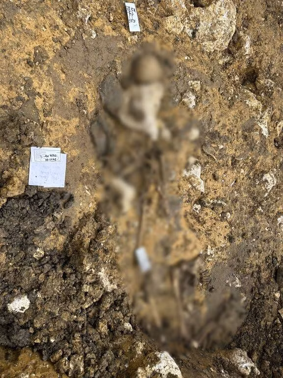 Nhóm nghiên cứu cho hay việc tìm thấy ngôi mộ có từ thế kỷ 4 trên là một phát hiện hiếm có liên quan đến người Alemanni. Không những vậy, một số hiện vật bên trong mộ cổ còn gần như nguyên vẹn như đồ gốm, đồ thủy tinh...