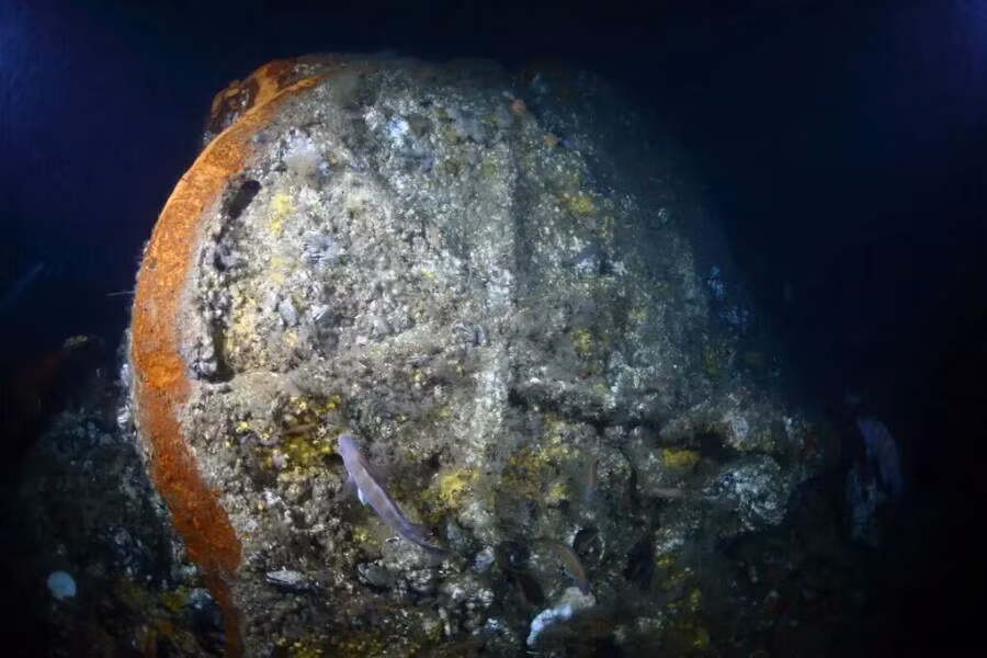 Vụ va chạm khiến tàu Le Lyonnais bị thủng một lỗ nhỏ trên tàu. Thủy thủ đoàn Le Lyonnais và Adriatic cho rằng thiệt hại không nghiêm trọng. Do vậy, trong khi Le Lyonnais đi đến cảng gần nhất để sửa chữa thì tàu Adriatic tiếp tục hành trình.