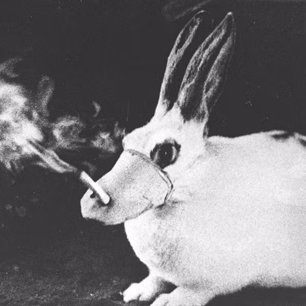 Không thể sành điệu hơn.