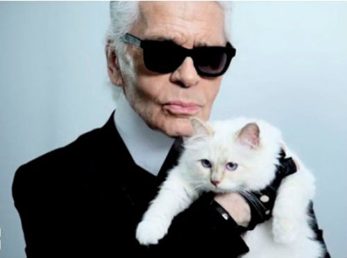 Nhà thiết kế thời trang Karl Lagerfeld gây sốc khi tuyên bố kết hôn với chú mèo Choupette. Đôi mắt của Choupette chính là nguồn cảm hứng trong bộ sưu tập thời trang cho hãng Chanel do ông thiết kế.