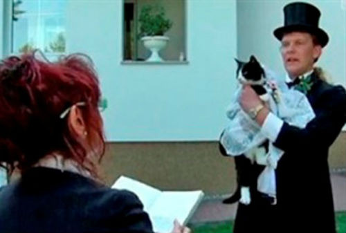 Năm 2010, Uwe Mitzscherlich, một người đàn ông Đức quyết định kết hôn với mèo hen yêu quý của ông sau khi nghe bác sĩ thú y nói rằng mèo không sống được bao lâu nữa.