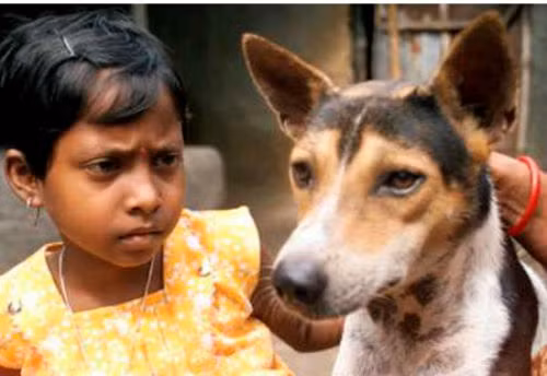 Ngày 11/6/2003, cô bé Karnamoni Handsa ở miền tây Ấn Độ kết hôn với một chú chó để tránh khỏi lời nguyền của ma quỷ.