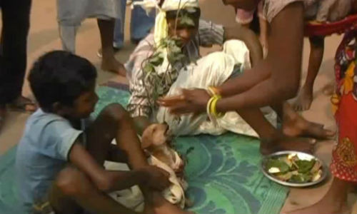 Cậu bé Mukesh Kerayi (7 tuổi), sống tại một ngôi làng hẻo lánh ở Jharkhand, Manik Bazar, Ấn Độ được gia đình tổ chức kết hôn với một con chó.