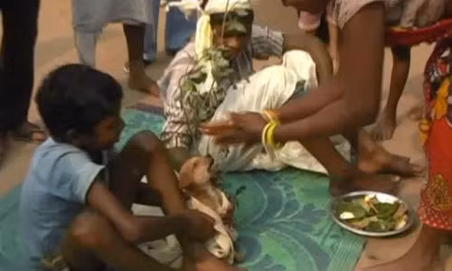 Cậu bé Mukesh Kerayi (7 tuổi), sống tại một ngôi làng hẻo lánh ở Jharkhand, Manik Bazar, Ấn Độ được gia đình tổ chức kết hôn với một con chó.