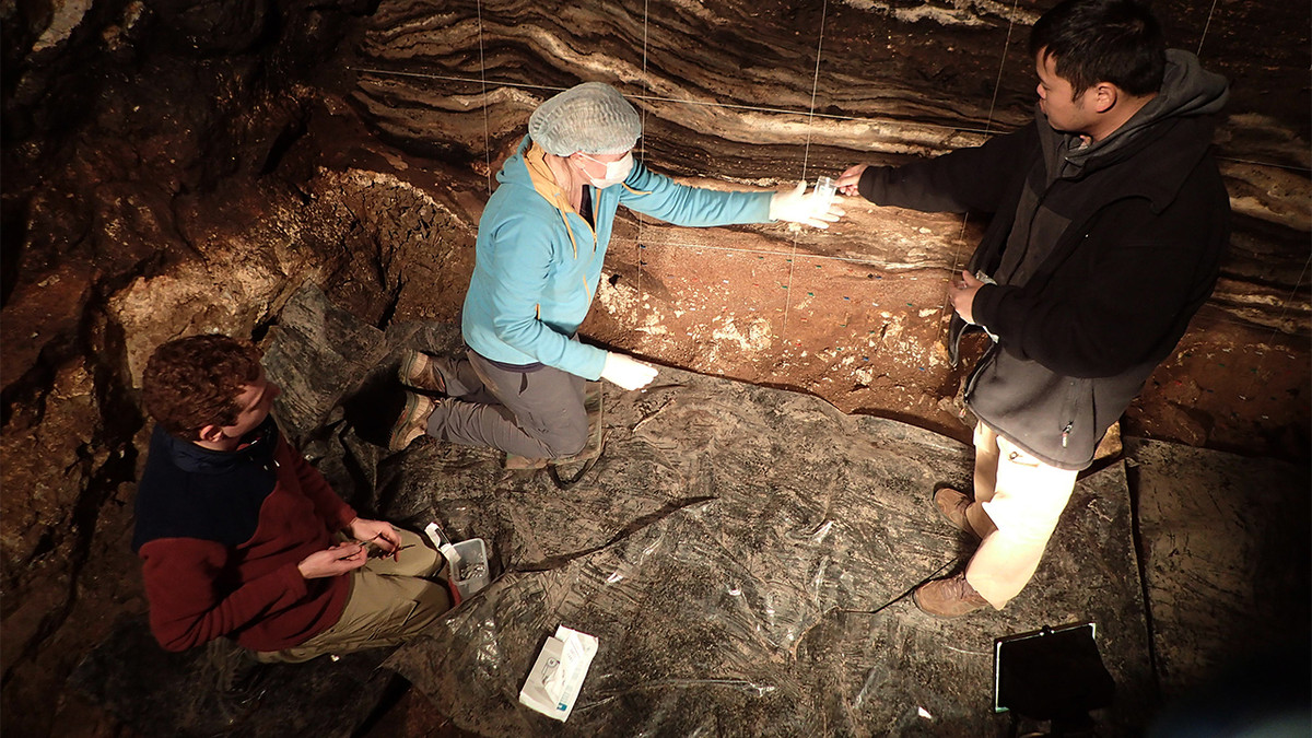 Vào khoảng 19.000 - 25.000 năm trước, ngoài người tinh khôn Homo sapiens, các loài người khác đã tuyệt chủng ngay cả ở hang Denisova hay các nơi khác trên Trái đất.