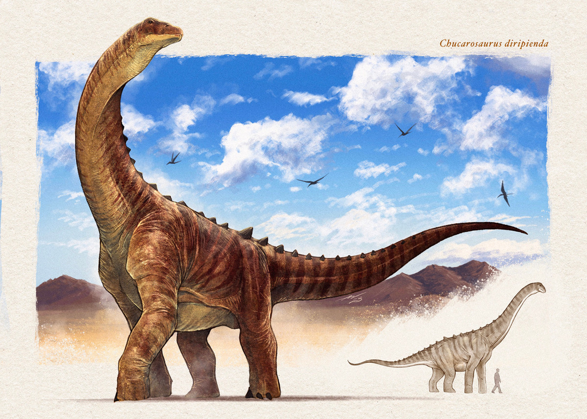 Trong quá trình vận chuyển, một sự cố đã xảy ra. Đó là việc hóa thạch bị rơi xuống đường. May mắn là sự cố này không gây thương vong.