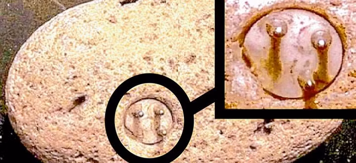 Sau một số kiểm tra, các chuyên gia xác định món đồ mà Williams tìm thấy có niên đại khoảng 100.000 năm tuổi. Dù vậy. họ chưa thể giãi mã hiện vật giống phích cắm điện do ai tạo ra và mục đích là gì. Những người đam mê UFO cho rằng, hiện vật "lạ" này có thể đã bị người ngoài hành tinh bỏ lại trên Trái đất khi trở về "quê nhà" xa xôi trong vũ trụ.