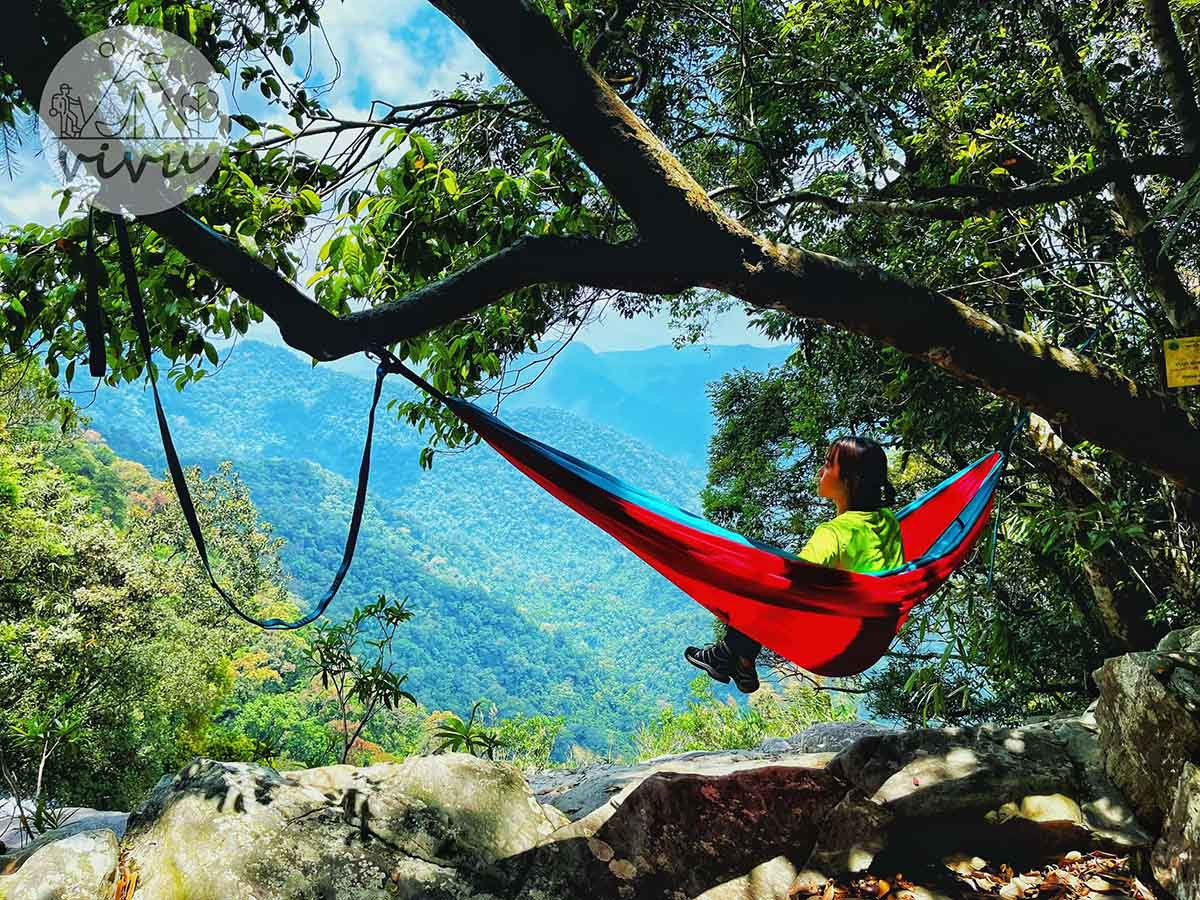 Vườn quốc gia Bạch Mã được thành lập vào năm 1991, đến nay vừa tròn 30 năm. Đây là nơi bảo vệ hệ sinh thái giao thoa giữa hai luồng khí hậu miền Bắc và miền Nam, bảo tồn các loài động, thực vật đặc hữu, quý hiếm… đồng thời là điểm du lịch thu hút du khách yêu thiên nhiên. Ảnh: Nguyễn Đình Hoàng.