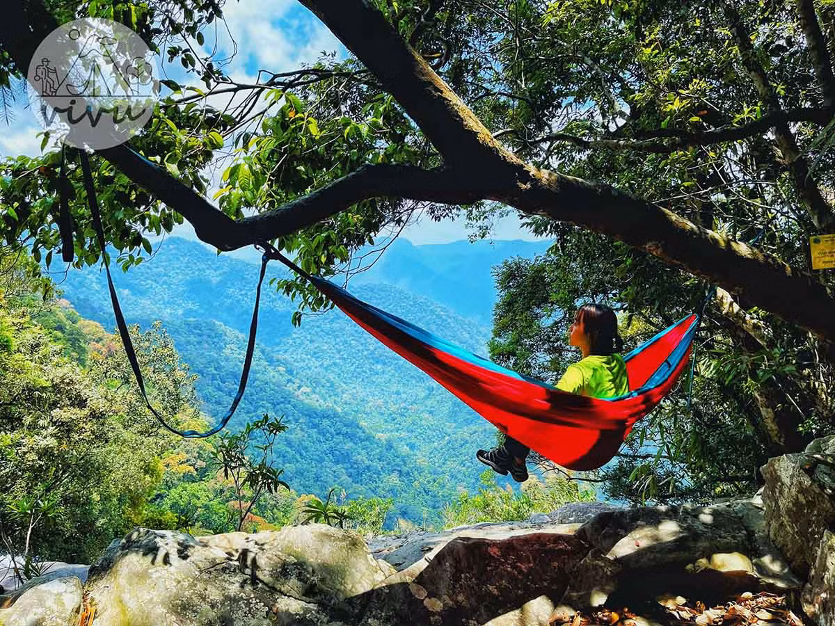 Vườn quốc gia Bạch Mã được thành lập vào năm 1991, đến nay vừa tròn 30 năm. Đây là nơi bảo vệ hệ sinh thái giao thoa giữa hai luồng khí hậu miền Bắc và miền Nam, bảo tồn các loài động, thực vật đặc hữu, quý hiếm… đồng thời là điểm du lịch thu hút du khách yêu thiên nhiên. Ảnh: Nguyễn Đình Hoàng.