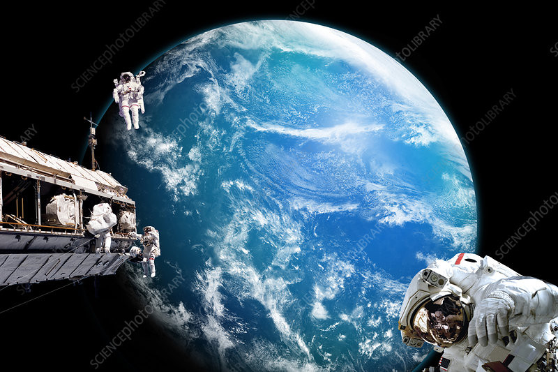 Tạp chí Scientific Reports số ra tháng 4 vừa qua đã đăng tải kết quả nghiên cứu mới, qua đó khẳng định lại ý tưởng của Tiến sĩ W. Randolph Lovelace II và bác sĩ Donald Flickinger những năm 1950 khi chỉ ra rằng nữ phi hành gia có nhiều lợi thế hơn so với nam giới. Nghiên cứu mới do Jonathan P. R. Scott, chuyên gia tại Viện Y học Sinh lý Không gian (MEDES) ở Pháp và các cộng sự thực hiện.