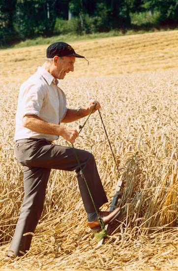 Hai người đàn ông trên thích thú khi những hình vẽ khổng lồ mà họ tạo ra thu hút sự chú ý của truyền thông. Họ không khỏi bất ngờ khi những hình tròn tương tự còn xuất hiện ở một số quốc gia khác như Mỹ, Australia....