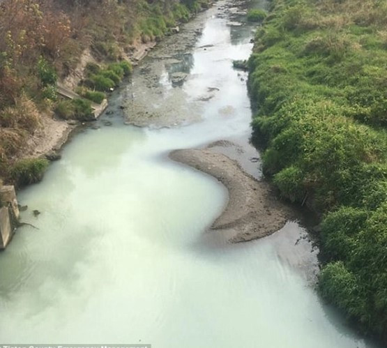 Ngay sau đó, lực lượng chức năng địa phương đã tiến hành điều tra, lấy mẫu nước. Về sau, họ xác định được "thủ phạm" khiến dòng sông Cicero đổi màu là do nhà máy sản xuất thực phẩm gần đó xảy ra sự cố khiến hơn 300 gallons (tương đương 1,1 tấn) sữa chảy ra ngoài.