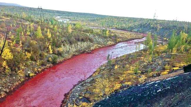 Trước sự việc này, một số người dân địa phương suy đoán "thủ phạm" khiến dòng sông Daldykan đột ngột đổi màu là do nguồn nước xả thải từ nhà máy Norilsk Nickel - một trong những nơi sản xuất nickel và palladium lớn nhất thế giới.