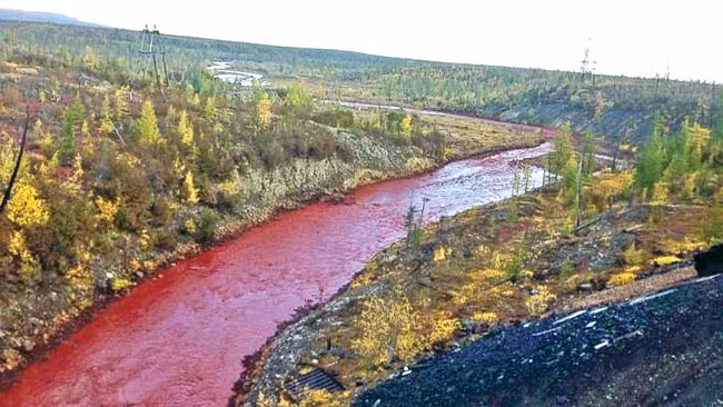 Trước sự việc này, một số người dân địa phương suy đoán "thủ phạm" khiến dòng sông Daldykan đột ngột đổi màu là do nguồn nước xả thải từ nhà máy Norilsk Nickel - một trong những nơi sản xuất nickel và palladium lớn nhất thế giới.