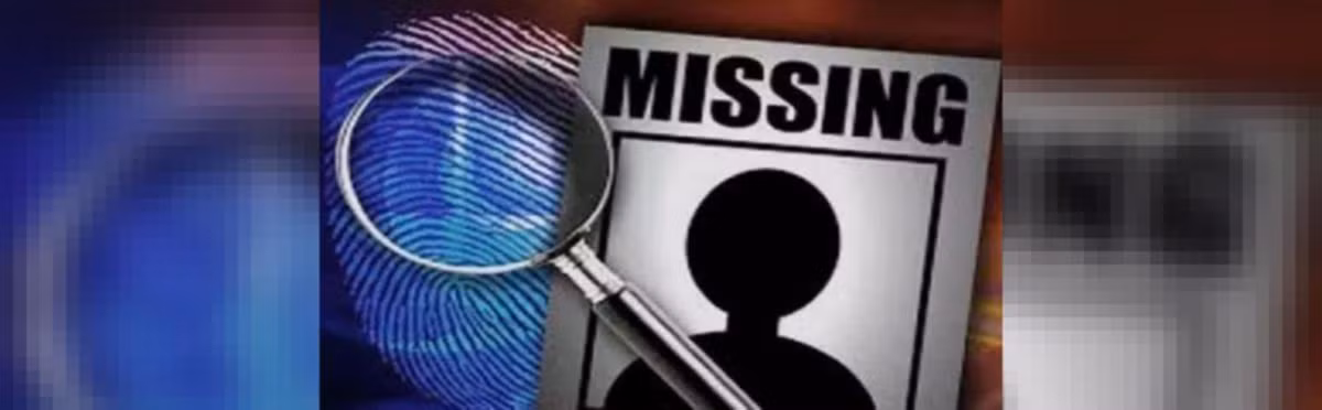 Giả thuyết này được đưa ra sau khi tác giả và nhà nghiên cứu huyền bí Joseph Citro đưa ra lý thuyết “Tam giác Bennington” giải thích cho vụ mất tích của Paula có liên quan đến một “năng lượng” đặc biệt thu hút người ngoài hành tinh.