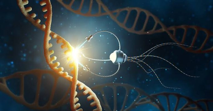 Theo ông Kurzweil, những robot siêu nhỏ trên sẽ sửa chữa các tế bào và mô bị tổn thương, bị thoái hóa khi cơ thể già đi và giúp con người miễn nhiễm với các căn bệnh nguy hiểm chết người.