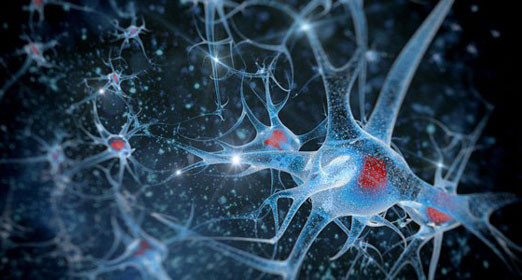 Trong thời gian qua, nhà khoa học máy tính Kurzweil đã đưa ra nhiều dự đoán chính xác từ năm 1990 bao gồm: sự kiện máy tính đánh bại các nhà vô địch cờ vua trên thế giới loài người vào năm 2000, sự bùng nổ của máy tính xách tay và điện thoại thông minh, sự chuyển đổi sang công nghệ không dây nhiều hơn, cuộc cách mạng của Internet...