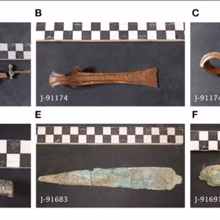 “Phần tay bị biến dạng của xác ướp cho thấy pharaoh Seqenenre Tao II có thể đã bị bắt làm tù bình trong cuộc chiến. Hai tay của ông bị trói quặt sau lưng khiến ông không thể ngăn ngặn được những cú tấn công mạnh vào phần đầu”, trích nghiên cứu của các chuyên gia.