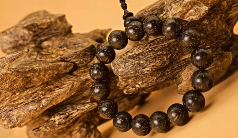 Trầm hương thường được sử dụng để làm hương tinh dầu và nước hoa. Theo ước tính, mỗi kg trầm hương thượng hạng có giá khoảng 100.000 USD.