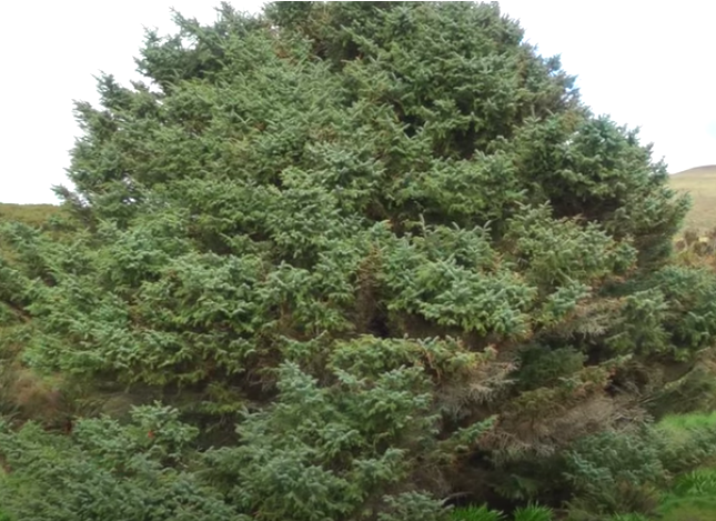 Tiến sĩ Turnbull đã hợp tác với nhóm dự án Thử thách Khoa học Quốc gia Deep South, Nền tảng Khoa học Nam Cực, Viện Nước và Khí quyển Quốc gia NewZealand để giải mã điều gì đang xảy ra với carbon ở Nam Đại Dương.