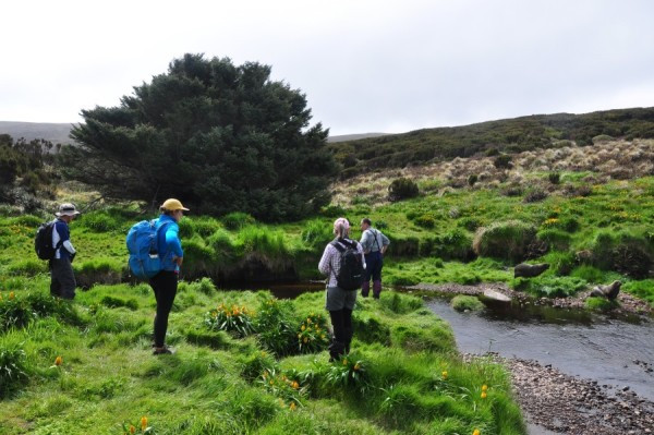 Nhóm nghiên cứu cho rằng, để trả lời 2 câu hỏi trên, lấy mẫu khí quyển là phương pháp tốt nhất để đo nồng độ CO2 và có thể bổ sung bằng các mẫu nước sâu. Tuy nhiên, phương pháp này có một số hạn chế, bao gồm việc không thể thu thập mẫu không khí từ hàng chục năm trước.