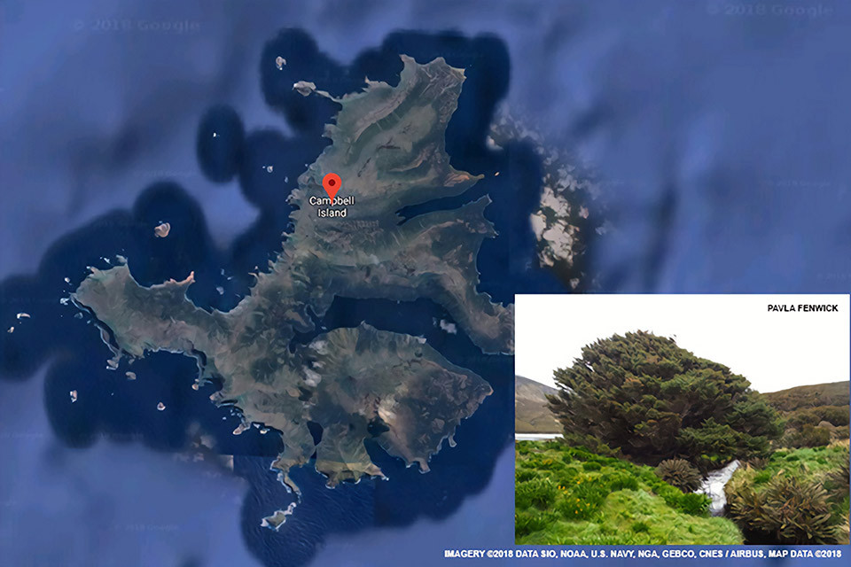 Nhóm chuyên gia đặt ra 2 câu hỏi lớn cần tìm ra lời giải là: Nếu carbon chìm xuống lấp đầy đại dương thì sự ấm lên toàn cầu có tăng tốc mạnh hay không? Con người có thể khiến những bể chứa này hấp thụ được nhiều carbon hơn và làm giảm sự nóng lên toàn cầu hay không?