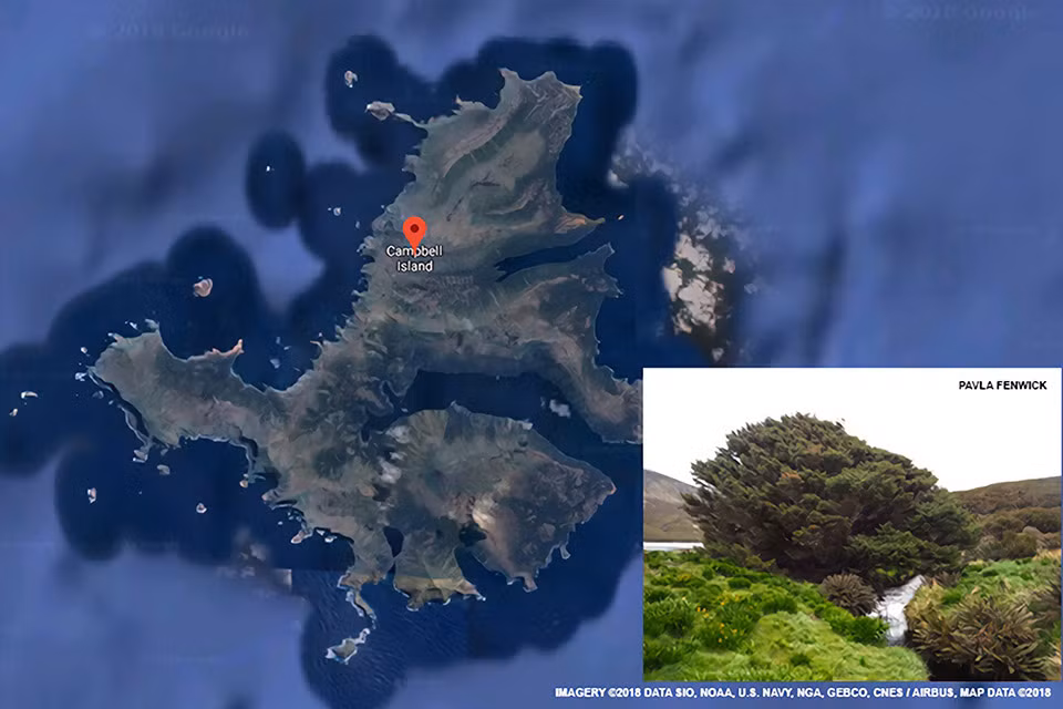 Nhóm chuyên gia đặt ra 2 câu hỏi lớn cần tìm ra lời giải là: Nếu carbon chìm xuống lấp đầy đại dương thì sự ấm lên toàn cầu có tăng tốc mạnh hay không? Con người có thể khiến những bể chứa này hấp thụ được nhiều carbon hơn và làm giảm sự nóng lên toàn cầu hay không?