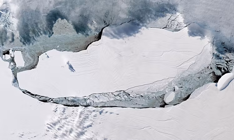 Nổi tiếng không kém là tảng băng trôi mang tên A81 rộng khoảng 1.550 km2. Với diện tích bề mặt 3.900 km2, chiều dài 144 km, A68a là mảnh lớn nhất của tảng băng trôi A68.