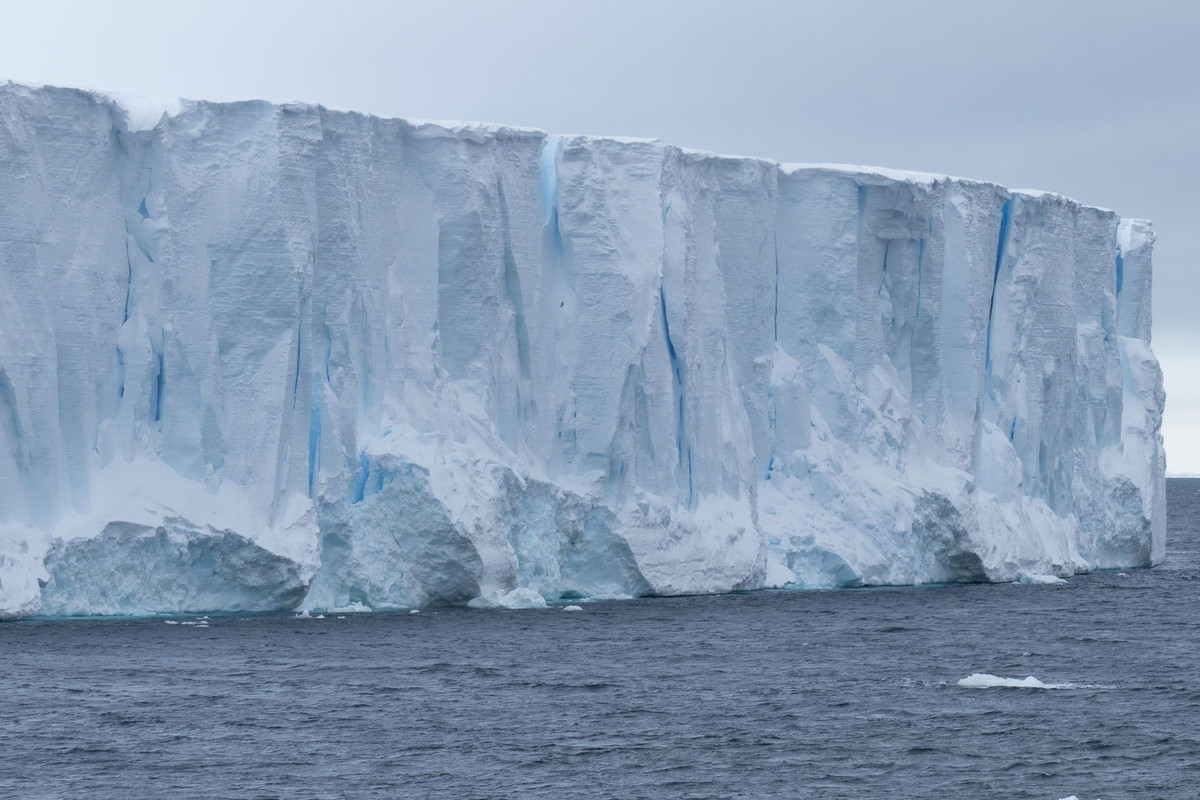 Thế nhưng, ông Tarling cảnh báo tác động tiêu cực của việc các tảng băng trôi "khủng" tan chảy là việc chúng sẽ giải phóng lượng lớn nước ngọt vào đại dương, khiến nước giảm độ mặn và không còn thích hợp cho nhiều sinh vật phù du.