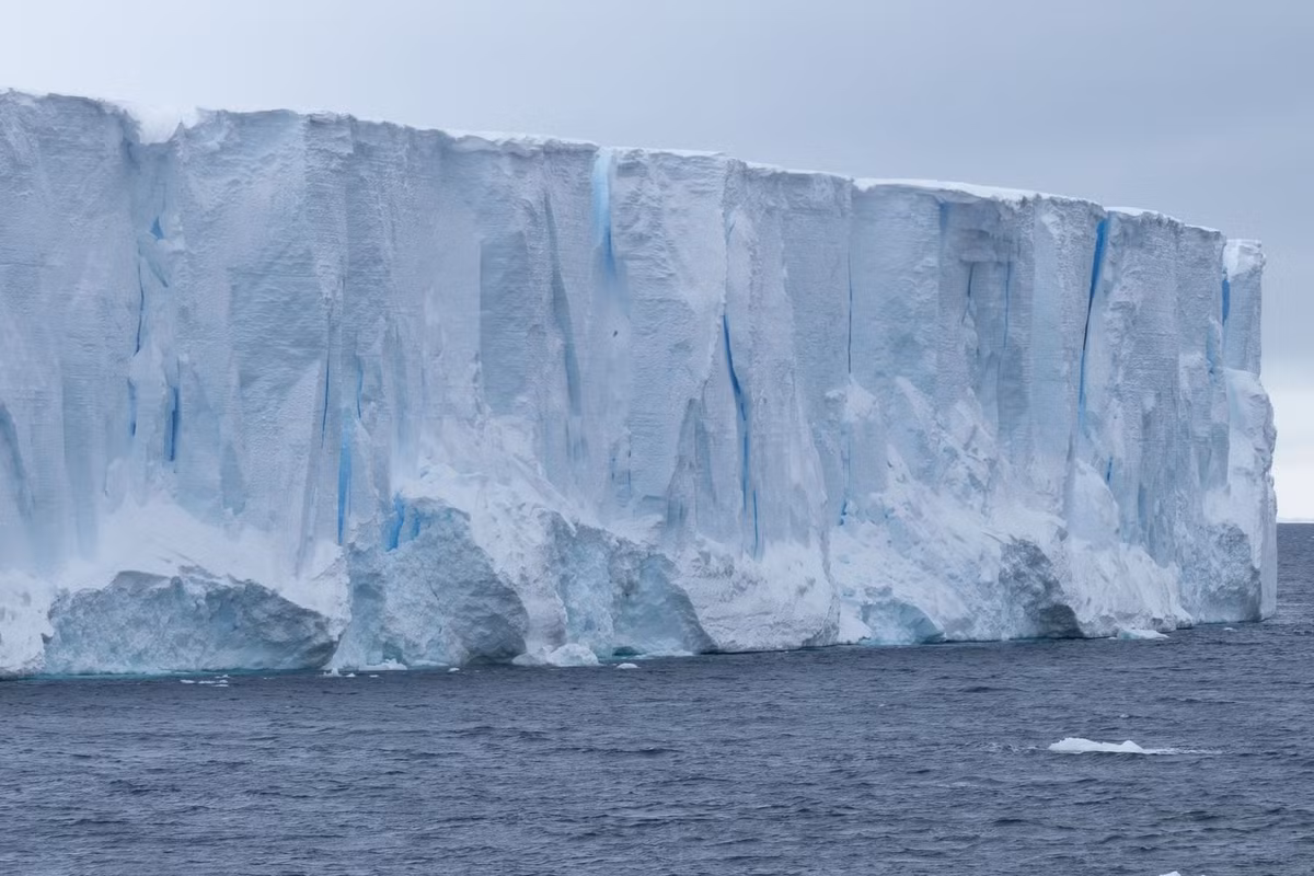 Thế nhưng, ông Tarling cảnh báo tác động tiêu cực của việc các tảng băng trôi "khủng" tan chảy là việc chúng sẽ giải phóng lượng lớn nước ngọt vào đại dương, khiến nước giảm độ mặn và không còn thích hợp cho nhiều sinh vật phù du.