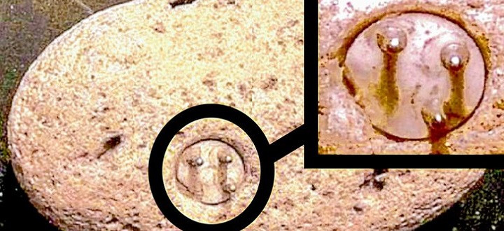 Tuy nhiên, giới khoa học nỗ lực giải mã nhưng vẫn chưa tìm ra ai là người tạo ra hiện vật này. Những người đam mê UFO cho rằng, hiện vật trên có thể chính là phích cắm điện của người ngoài hành tinh bỏ lại trên Trái đất sau khi ghé thăm con người.