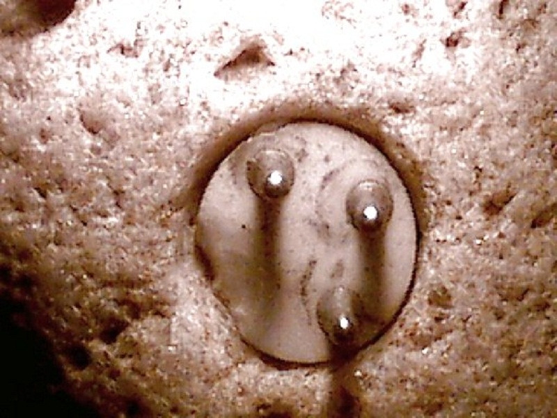 Qua kiểm tra, các chuyên gia phát hiện tảng đá kỳ lạ mà Williams tìm thấy có niên đại khoảng 100.000 năm tuổi. Qua đó, thông tin cho rằng hiện vật này được làm giả bị bác bỏ.