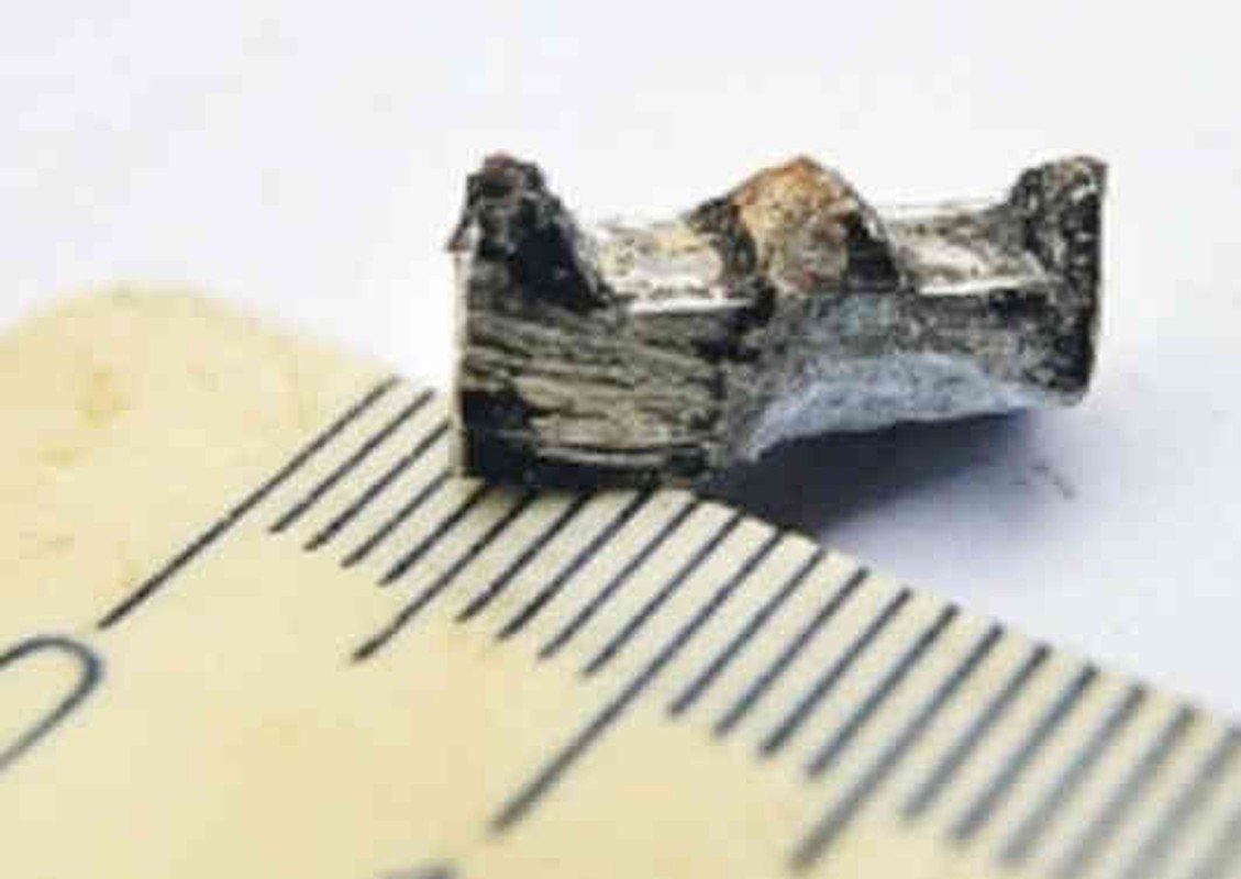 Điều này khiến những người theo thuyết âm mưu cho rằng, bánh răng bí ẩn trên có thể là một bộ phận trên UFO của người ngoài hành tinh. Thế nhưng, đến nay, các nhà khoa học vẫn chưa thể giải mã hiện vật này từng được sử dụng với mục đích gì, thuộc sở hữu của nền văn minh nào.