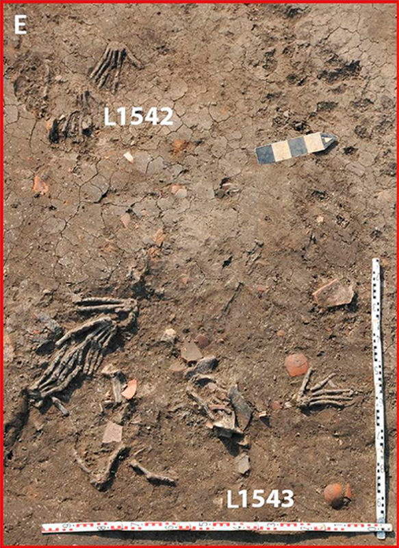 Sau khi dâng lên nhà vua để ban thưởng, những bàn tay của kẻ thù được sắp xếp cẩn thận cách nhau vài bước chân rồi vùi đất chôn dưới sân cung điện.