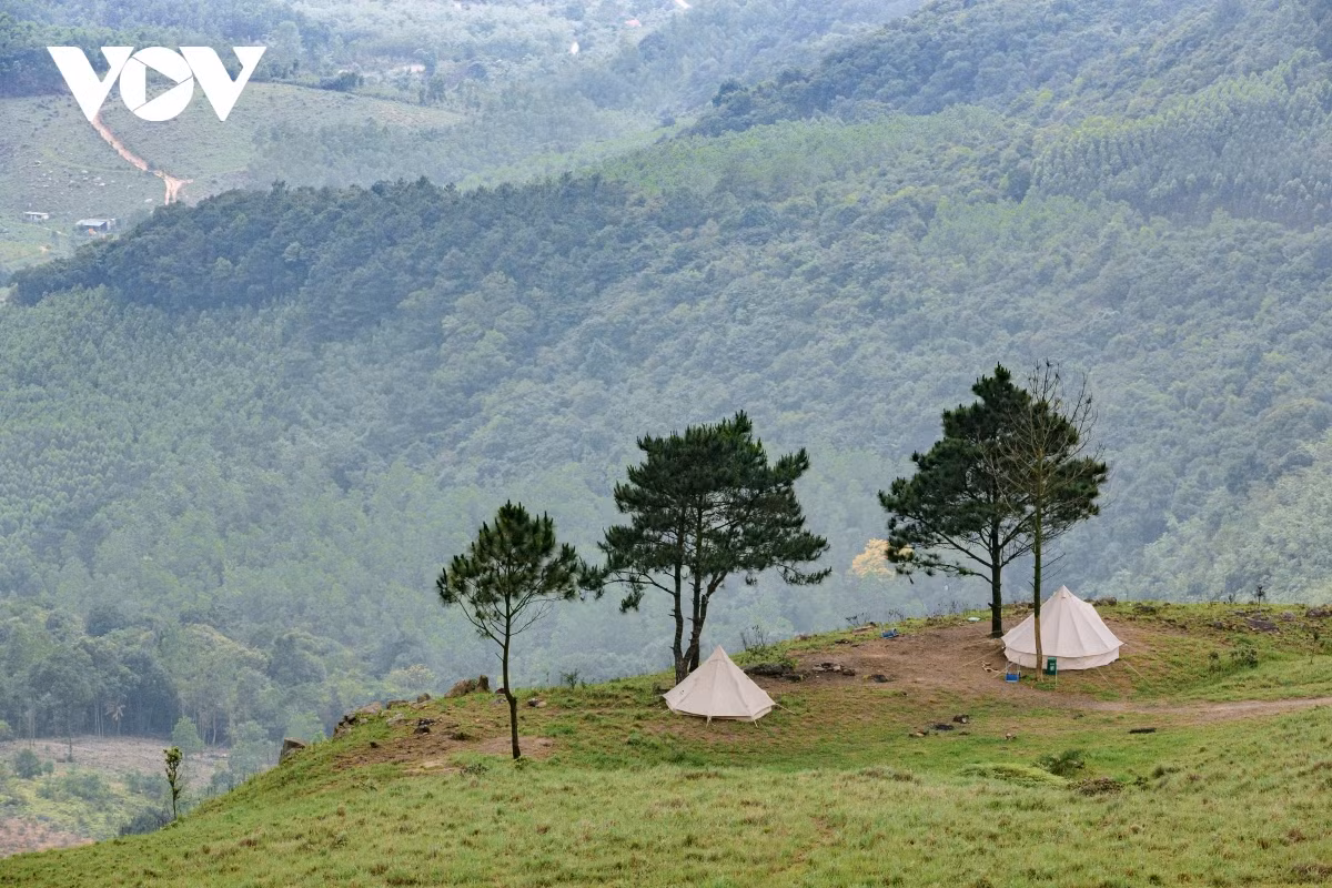 Không chỉ ấn tượng với những bức ảnh check-in tuyệt đẹp. Cắm trại qua đêm trên đồi Phượng Hoàng - Uông Bí cũng là trải nghiệm không thể bỏ lỡ để du khách có thể khám phá hết vẻ đẹp của nơi đây.