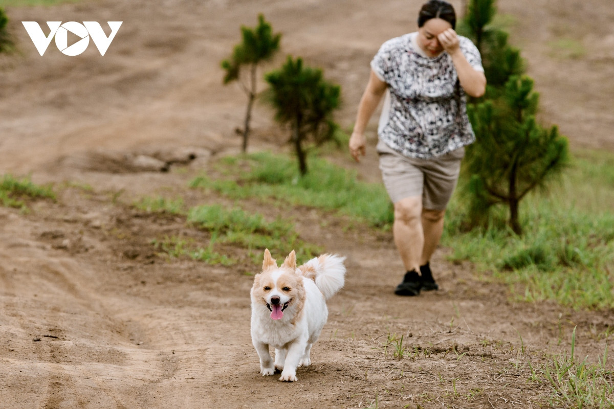 Vào những buổi chiều, không khí nơi đây vô cùng trong lành, dễ chịu. Rất nhiều người dân địa phương còn mang theo cả những chú thú cưng lên đồi tập thể dục.
